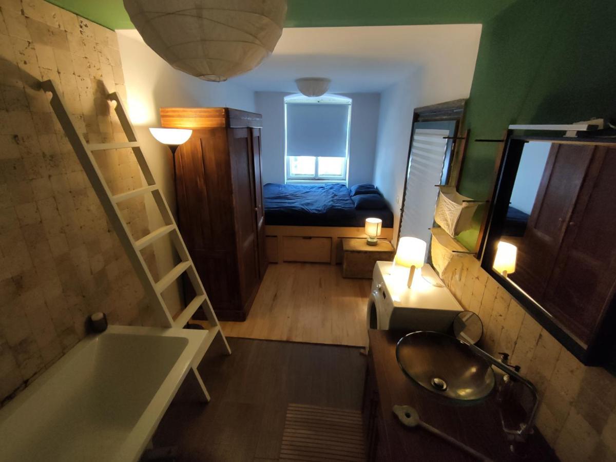 Apartment Artist Nest Pet Friendly Location Sibiu