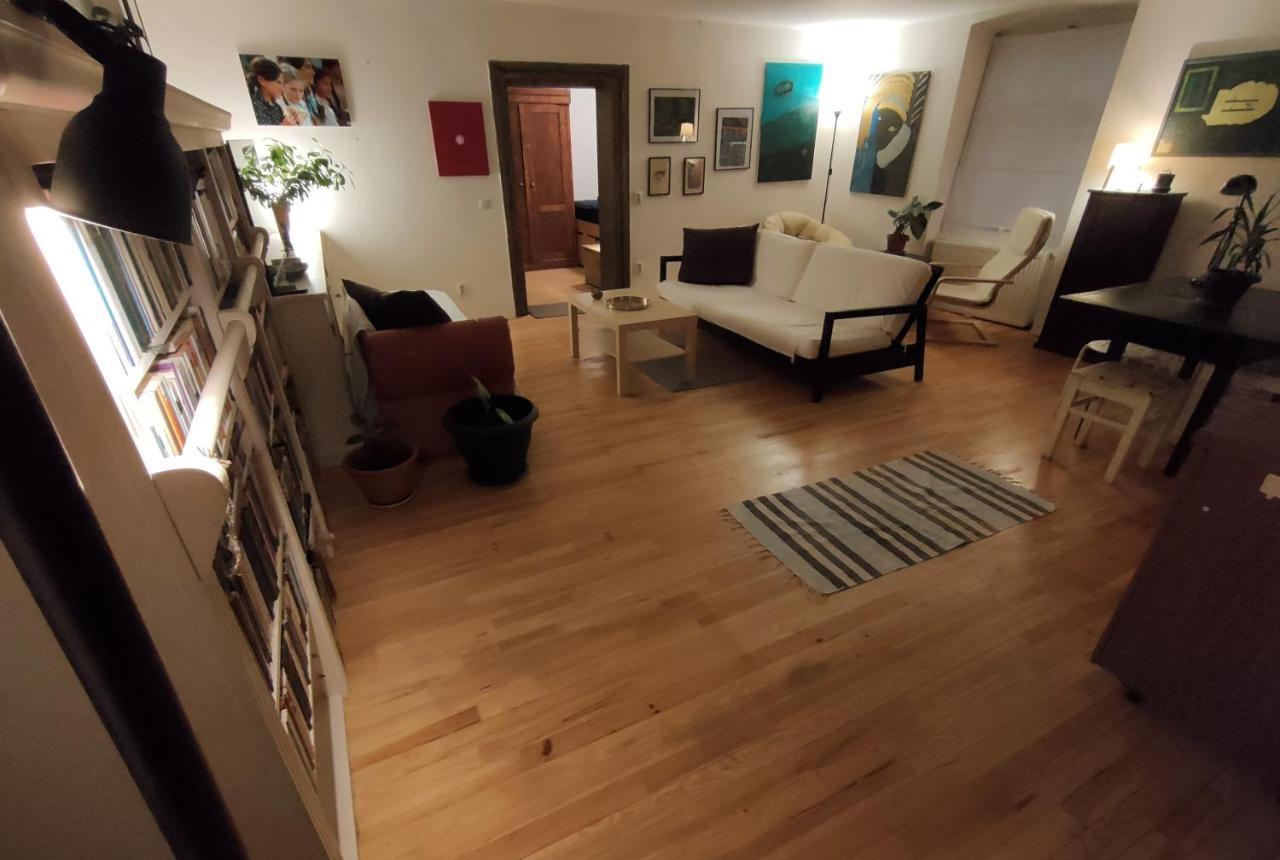 Apartment Artist Nest Pet Friendly Location Sibiu